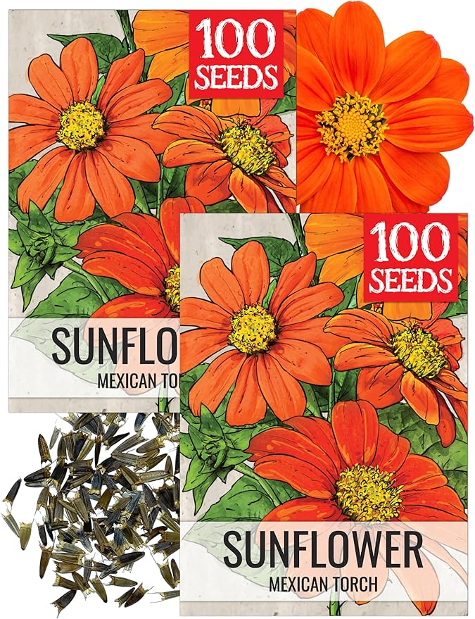Seed Needs Mexican Sunflower Seeds for Planting Tithonia rotundifolia Flowers - Heirloom & Open Pollinated Annual Flower Seed to Plant an Outdoor Butterfly Garden (2 Packs)