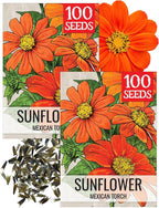 Seed Needs Mexican Sunflower Seeds for Planting Tithonia rotundifolia Flowers - Heirloom & Open Pollinated Annual Flower Seed to Plant an Outdoor Butterfly Garden (2 Packs)