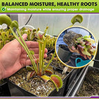 DUSPRO Carnivorous Plant Soil Mix 1.5QT-Include Forest Moss, Peat Moss, Perlite Potting Mix for Carnivorous Plants, Carnivorous Plants, Pitcher Plant, Butterworts, Sundews - Carnivorous Plant Food