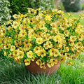 Artificial Flowers for Outdoors Daisy 12 Bundles for Home Decoration, Faux Flower Fake Plants Outside Decoration with Eucalyptus UV Resistant for Planter Porch Patio Yard Garden Yellow
