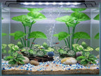 10 Pack Silk Aquarium Plants for Betta Fish Tank Decorations - Soft Fin-Safe Fish Tank Plants with Weighted Bases, Ideal Aquarium Decor for 5-40 Gallon Betta, Goldfish & Turtle Tanks Accessories