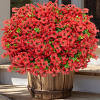 AXYLEX Artificial Flowers for Outdoors Fake Plants - 16 Bundles Faux Outside Greenery Boxwood No Fade Plastic Shrubs Fall Decor Farmhouse Home Garden Thanksgiving Mums (PureRed)