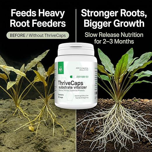 ThriveCaps Aquarium Root Cabs – Premium Root Fertilizer for Live Plants – Slow Release – Strong NPK + Micros – Safe for Shrimp & Snails – 60 Count