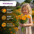 KVITER 3000 Orange California Poppy Seeds (Eschscholzia Californica) - Californian Poppy, Drought Tolerant Wildflower, Orange Flower Seed Packets - Flower Seeds for Outdoor Garden, Meadow, Cut Flowers
