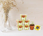 BUZZY Seeds Sunflower Daydream Collection 6-Pack Mini Terracotta Grow Pots, Includes Seed Packets and Growing Medium, Flower Starter Kit, Indoor Gardening Gift, Wedding Favors