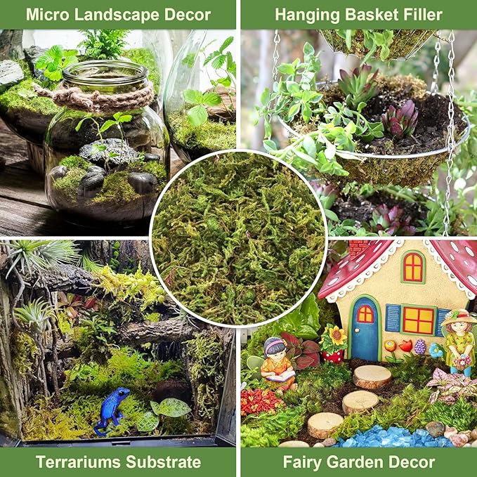 Legigo 2.6LBS Sphagnum Moss for Plants, 50QT Natural Orchid Moss Potting Mix Dired, Green Forest Plant Moss for Orchid Repotting Carnivorous Succulents Indoor Potted Plants Gardening and Reptiles