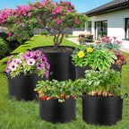 5 Pack 1 Gallon Grow Bags, Thickened Nonwoven Fabric Planter Pots with Handles, Heavy Duty 300G Garden Pots for Tomato, Potato and Vegetable
