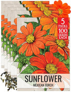 Seed Needs Mexican Sunflower Seeds for Planting Tithonia rotundifolia Flowers - Heirloom & Open Pollinated Annual Flower Seed to Plant an Outdoor Butterfly Garden (5 Packs)
