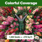HOME GROWN Hollyhock Summer Carnival Mix Flower Seeds – Alcea Rosea, Premium Annual Flower Seeds, 1000 Seeds for Planting Flowers, High-Germination Flower Seed Bulk Pack
