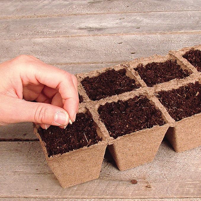 Ferry Morse Jiffy Seed Starting Strips - Biodegradable, Plant Starter Trays - 100 Strips (1000 Cells) - Peat