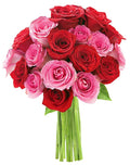 KaBloom - Romantic Bouquet of 18 Red and Pink Roses - Fresh Flowers for Birthday, Valentine's & Mother's Day