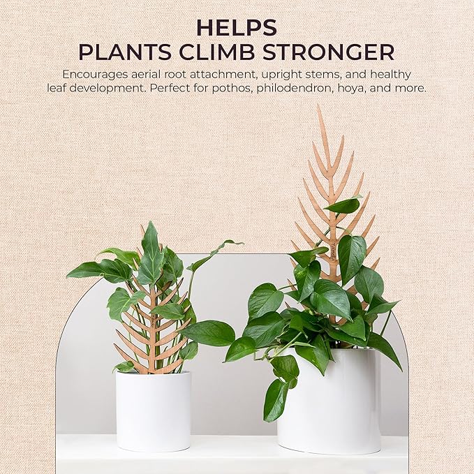 Treleaf Palmella Palm Leaf Inspired Wooden Trellis – Grande Size Indoor Plant Support for Climbing Plants – 24” Decorative Houseplant Trellis and Wooden Plant Stake for Potted Vines
