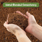 Soil Sunrise Terrarium Potting Soil Mix (8 Quarts) w/Blended Filtering Charcoal Custom Made for Terrariums