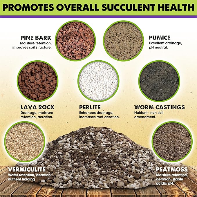 DUSPRO Succulents Soil Potting Mix – 7 in 1 Ingredients Well-Draining, Nutrient-Rich Cactus Potting Soil for Succulents and Cacti, Indoor & Outdoor Use, Ready to Use, Supports Healthy Root Growth, 4QT