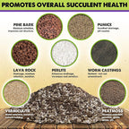 DUSPRO Succulents Soil Potting Mix – 7 in 1 Ingredients Well-Draining, Nutrient-Rich Cactus Potting Soil for Succulents and Cacti, Indoor & Outdoor Use, Ready to Use, Supports Healthy Root Growth, 8QT