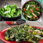 10 Power Greens Seed Collection – Heirloom Collards, Mustard, Swiss Chard, Spinach, Kale, Tatsoi, Pak Choi & More for Fall & Spring Planting | Survival Garden Seeds