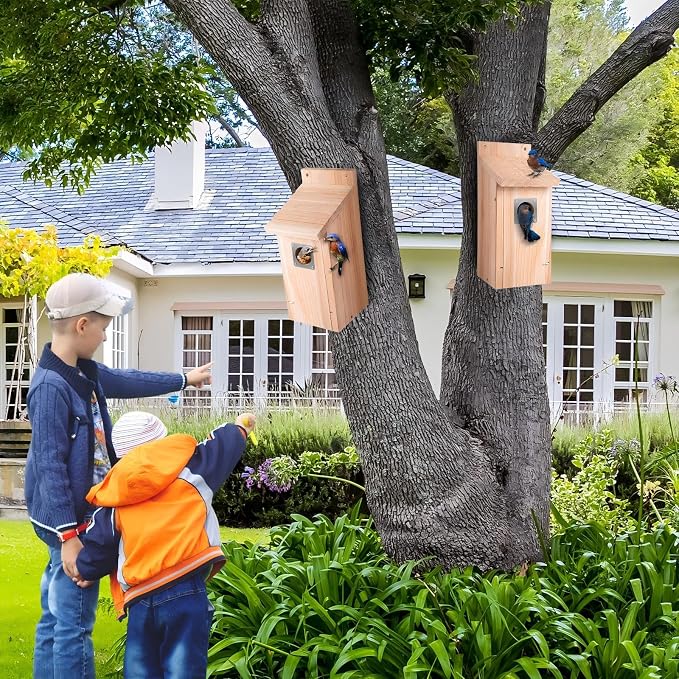 Dreyoo 2 Pack Bluebird Box Houses for Outside,1-1/2'' Entrance Hole Wooden Bird Houses with Metal Guard, Secure Latch,Fledgling Grooves,Air Vents for Bluebird Wren Swallow(Wood)
