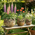 3 Piece Vintage Metal Planter Set, Rustic Distressed Farmhouse Flower Pots with Handles for Indoor Outdoor Garden, Tabletop Centerpieces & Wedding Decor
