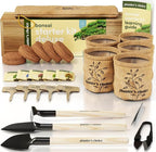 Planter's Choice Bonsai Tree Starter Kit - Unique Easter Gifts for Women, Men - Birthday Gifts for Adults - Indoor Live House Plants - DIY for Adults Craft Kits - Hobby Gift Gardening Lovers