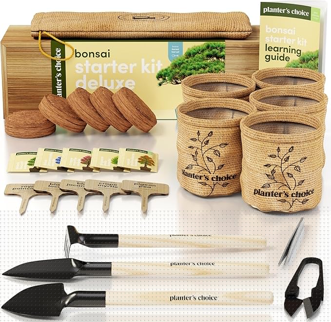 Planter's Choice Bonsai Tree Starter Kit - Unique Easter Gifts for Women, Men - Birthday Gifts for Adults - Indoor Live House Plants - DIY for Adults Craft Kits - Hobby Gift Gardening Lovers