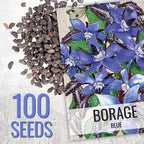 Seed Needs Borage & Chives Seeds for Planting Fresh Kitchen Herbs - Non-GMO Heirloom & Untreated Perennial Herb Seed to Plant a Culinary Garden Indoors or Outdoors (2 Pack Duo)