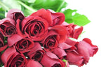 KaBloom - Bouquet of Long Stemmed Red Roses (Two Dozen) - Without Vase - Fresh Flowers for Birthday, Valentine's & Mother's Day