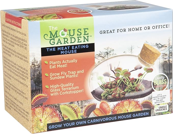 Grow Your Own Carnivorous Mouse Garden with Our Glass Terrarium Starter Kit - Fun and Easy to Grow Complete Supplies Included - Plant A Mini Garden That Will Last for Years - Great for Home Or Office