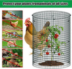 10 Pack Wire Plant Protector with Cover, 16"x12" Detachable Metal Plant Protectors Mesh, Garden Plant Protectors for Shrubs Flowers Vegetables to Keep Rabbit & Chicken Animals Out