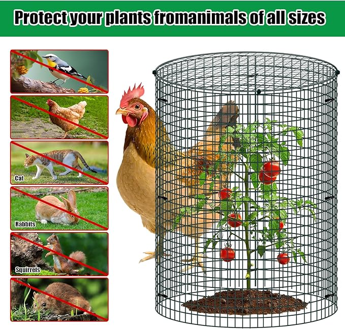 10 Pack Wire Plant Protector with Cover, 16"x12" Detachable Metal Plant Protectors Mesh, Garden Plant Protectors for Shrubs Flowers Vegetables to Keep Rabbit & Chicken Animals Out