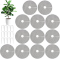 6/12 PCS 11.8" Plant Protector from Cats Indoor with 12 PCS Metal Stakes, Cuttable Pot Cover from Animals
