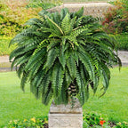 MARTINE MALL 2Pcs 48''/ 88 Leaves XXL Large Fake Ferns Artificial Ferns for Outdoors, UV Resistant Faux Boston Fern for Outdoor Planter Realistic Hanging Artificial Fake Plants for Porch Patio