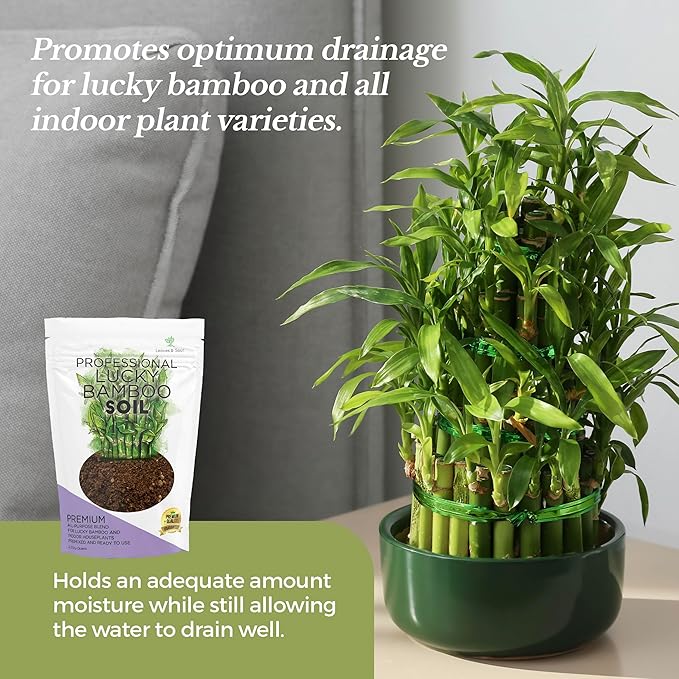 Professional Lucky Bamboo Soil Mix Large 2.2 Quarts Ready to Use, Premium Indoor Potting Soil for Lucky Bamboo Plants, Dracaena Sanderiana, Peat Moss Coco Coir Perlite Dolomite Blend Made in USA