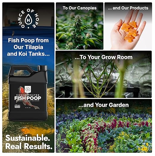 OMRI Listed Organic Concentrated Fish Poop - Liquid Fertilizer & Indoor Plant Food for Vegetable Gardens, Houseplants, Seedlings, Aquaponics & Soil Amendment (4 Oz - Makes 4 Gallons)