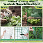 Hiboom 4 Pack Garden Plant Protectors from Animals with Stakes, Metal Mesh and Detachable Covers Wire Plant Cage for Keeping Bunny Animals Out, Chicken Wire Cover Garden Protect (12 * 13 in)