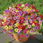 SHareconn 24 Bundles Artificial Flowers for Outdoors Decoration, Faux Plants Fake Silk Colorful Daisy Eucalyptus Lavender, UV Resistant for Outside Home Porch Patio Indoor Spring Decor, Mix 5 Colors