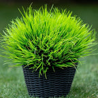 Artificial Monkey Grass Outdoor Shrubs - 20 Bundles Fake Plants UV Resistant No Fade Faux Plastic Greenery Home Garden Porch Patio Decoration Office Indoor (Green Grass)
