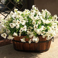 Artificial Flowers for Outdoor, UV Resistant Fake Silk Pansies Flowers, Realistic Faux Plants for Outside Indoor Porch Patio Window Box Planter Home Decor (16, White)