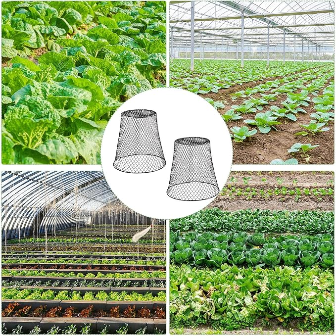 10 Pcs Garden Chicken Wire Plant Covers, 11x11Inch Metal Wire Garden Cloches Chicken Wire Cloche Plant Protector Heavy Duty Garden Plant Cloche for Keeping Bunnies Chicken Squirrels Birds Other Out