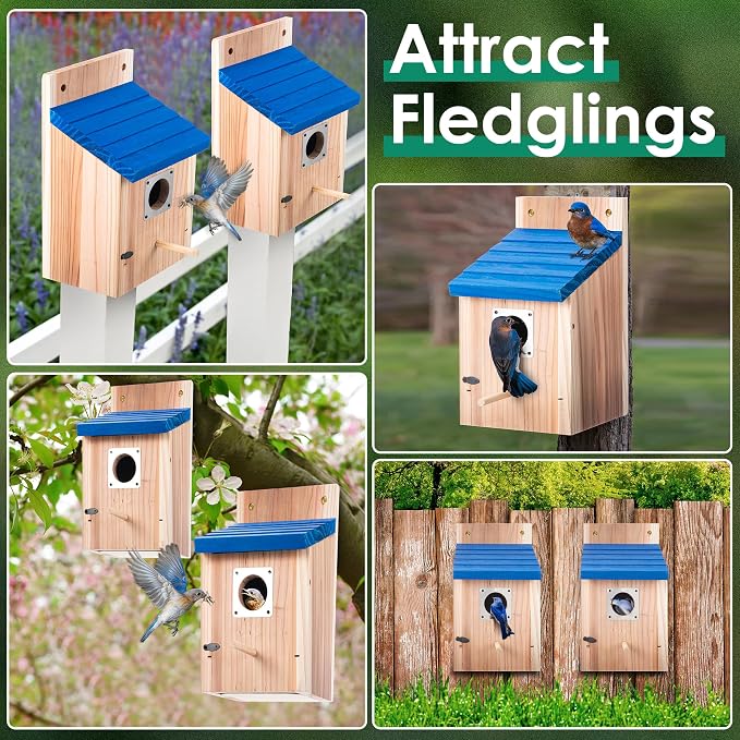 Dreyoo Cedar Bluebird Box Houses for Outside, 1-1/2'' Entrance Hole Wooden Bird Houses with Metal Guard, Secure Latch, Fledgling Grooves, Air Vents for Bluebird Wren Swallow (2 Pack)