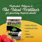 Nelson Plant Food - NutriStar Hibiscus Fertilizer - Outdoor and Indoor Plant Food - Tropical Hibiscus Fertilizer For All Flowering Tropical Plants