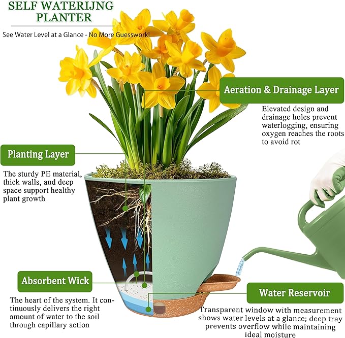 6 Inch Self Watering Pots for Indoor Plants(5-Pack) – Small Plastic Planters with Water Level Window, Drainage Holes & Detachable Trays, Indoor Outdoor Flower Pots for Herbs, Snake,Pothos (Green)