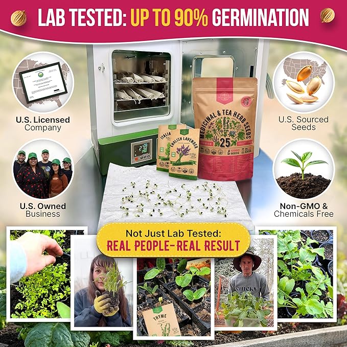 Organo Republic 25 Medicinal & Tea Herb Seeds Variety Pack for Indoor & Outdoors. 10900+ Non-GMO Heirloom Garden Seeds: Anise, Borage, Cilantro, Chamomile, Dandelion, Rosemary, Peppermint Seeds