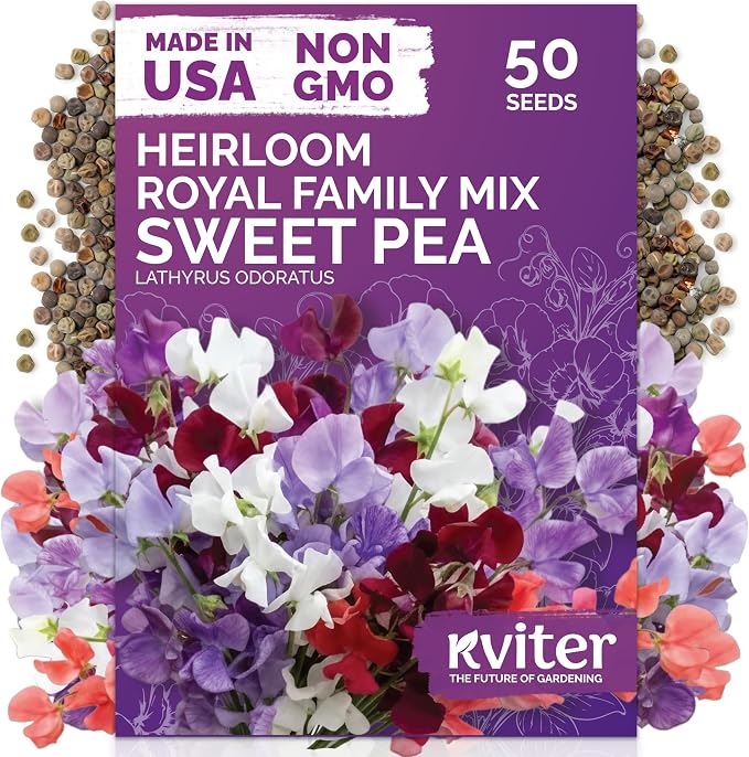 KVITER 50 Royal Family Mix Sweet Pea Seeds (Lathyrus Odoratus) - Sweet Pea Non GMO Seed Packets, Fragrant Climbing Large Blooms - Annual Flower Seeds for Outdoor Garden, Containers, Cut Flowers