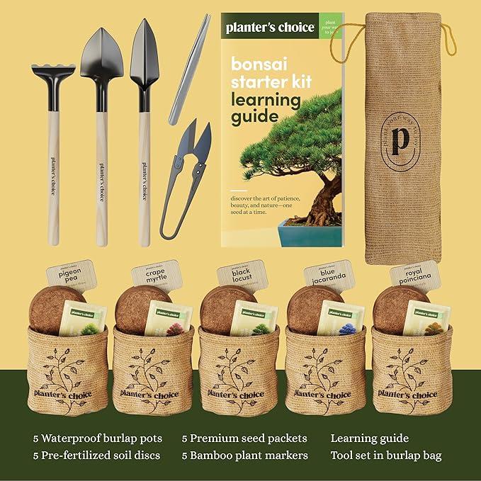 Planter's Choice Bonsai Tree Starter Kit - Unique Easter Gifts for Women, Men - Birthday Gifts for Adults - Indoor Live House Plants - DIY for Adults Craft Kits - Hobby Gift Gardening Lovers