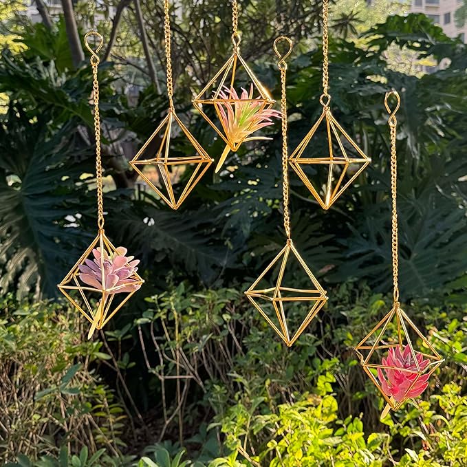 6 Pack Gold Diamond Hanging Air Plant Holders with Chains, Small Unique Metal Air Plants Live Holders for Tillandsia and Air Ferns, Indoor Hanging Planter Decor
