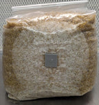 Spawn-Tek Mushroom 3 lbs Millet Grain Bag