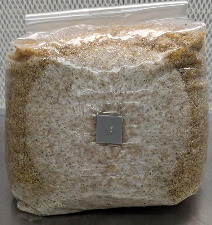 Spawn-Tek Mushroom 3 lbs Millet Grain Bag