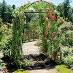 AGTEK 87in Garden Arch Trellis for Climbing Plants, Garden Arches Support Structure, Tall Metal Garden Tunnel Trellises Archway for Climbing Vine, Vegetable, Fruit, Flower, Squash Arbors