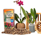 Better-Gro Sphagnum Moss - 100% Natural, Long-Fiber Moss for Orchids, Ferns, and Hostas, Excellent for Hanging Baskets and Propagating Plants - 240 Cubic Inches