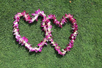 Miami Fresh Orchid Flower OrchidClub USA Sunne Tropical Loose Bloom DIY Lei Food Drink Decoration (50 PURPLE)